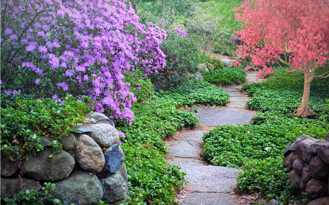 Tips on Choosing Right Pavers for Your Garden